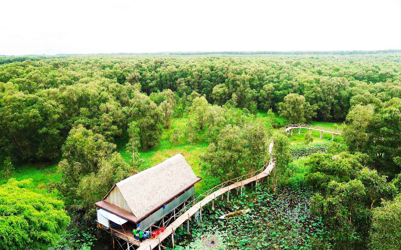 Lối đi và thảm thực vật trong vùng rừng ngập nước